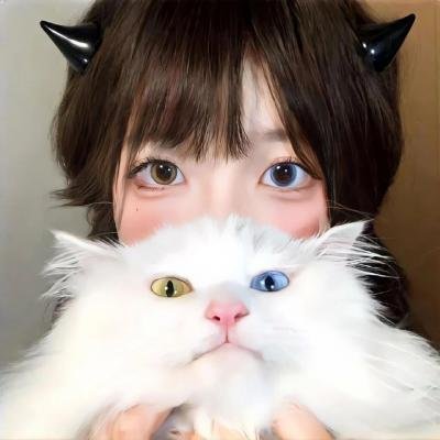 猪皮天堂