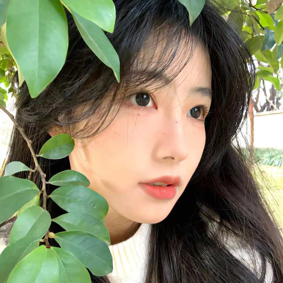 波丽娜