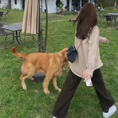 宫崎骏与苍鹭